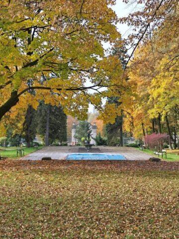 Slaskie zoo 8 Slaskie zoo 8