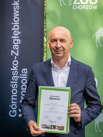 Slaskie zoo tygrys amurski 3 Slaskie zoo tygrys amurski 3
