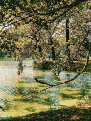 Park Świerklaniec Park Świerklaniec