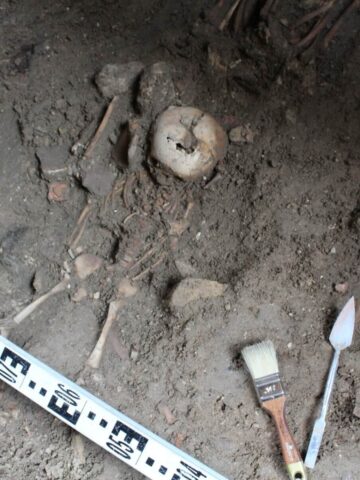 W kościele pw. św. Wojciecha archeolodzy odkryli groby dziecięce ze średniowiecza W kościele pw. św. Wojciecha archeolodzy odkryli groby dziecięce ze średniowiecza