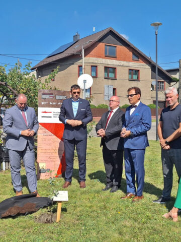 Uroczyste posadzenie Dębu Pokoju w Radzionkowie Uroczyste posadzenie Dębu Pokoju w Radzionkowie