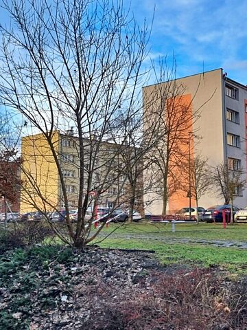 Zielona przestrzen chorzow 19 Zielona przestrzen chorzow 19