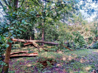 Nawałnice nad Śląskiem: spore straty w Tychach i okolicy Skutki nawałnic 12.07.2024 w Tychach