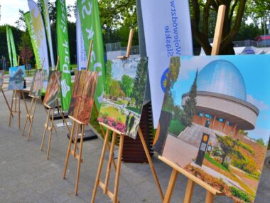 Podsumowano pięć lat inwestycji w Parku Śląskim Park slaski inwestycje
