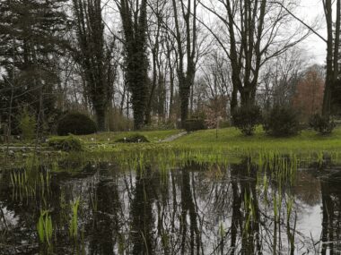 W Zabrzu odbędą się warsztaty inspirowane światem Tolkiena Zabrze ogrod botaniczny