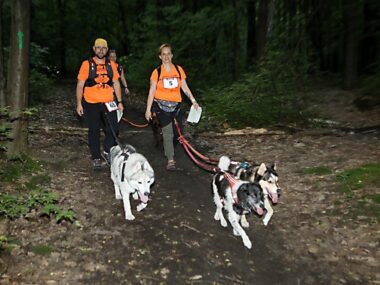 Nocna edycja Pucharu Polski w Dogtrekkingu w Parku Śląskim W Parku Śląskim odbędzie się nocna edycja Pucharu Polski w Dogtrekkingu
