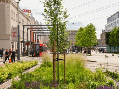 Ekologiczne warsztaty GREEN_CAMP już 7 lipca w Katowicach Zielona Oaza Katowice, fot. M. Malina