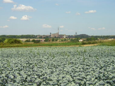 Dawna panorama z kopalnią w tle Dawna panorama z kopalnią w tle