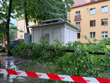 Będzin i Chorzów najmocniej dotknięte skutkami burz 1 lipca Skutki burzy w Chorzowie