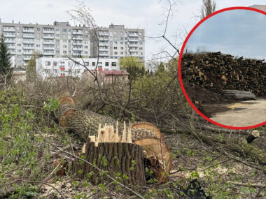 Czeladź. Wycinka drzew pod budowę osiedla w okresie lęgowym Czeladź. Szyb »Kondratowicz« – wycinka drzew pod nowe osiedle »DomBud«. Mapa. 16 kwietnia 2026