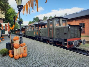 Kolej Wąskotorowa w Rudach połączy Rybnik z Pilchowicami Farma dyniowa Rudy Raciborskie