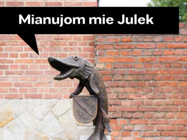 Julek pozdrawia z Rybnika. Szczupak z Rybnika otrzymał imię Julek - Szczupak z Rybnika