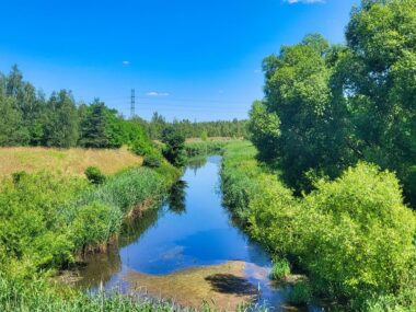 Serca miast biją na zielono. Nie taki nasz GOP szary! Kłodnica, czerwiec 2025