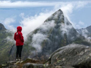 Kurtki softshell: ochrona przed wiatrem i deszczem Kurtki softshell