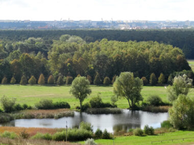 Park Śląski ma rywala. To największy park miejski w Polsce Park Myślęcinek w Bydgoszczy to największy park miejski w Polsce