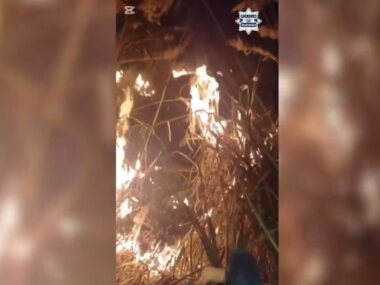 Pożar traw w Lipinach, w rejonie osiedla Nowy Paryż Pozar traw Lipiny