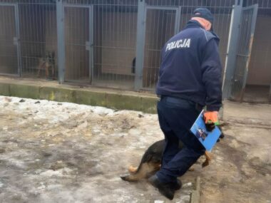 Kontrola weterynaryjna w Policji przeczy zarzutom posła Sosnowiec-Niwka. IV Komisariat KMP w Sosnowcu. Interwencja poselska Łukasza Litewki w sprawie warunków, jakie ma policyjny pies. 31 stycznia 2026.