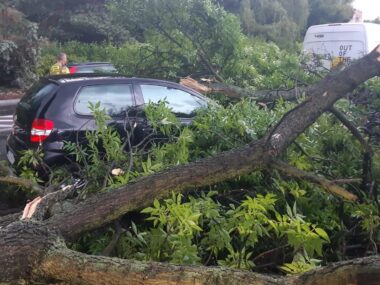 Nawałnice nad Zagłębiem Dąbrowskim. Ponad 200 interwencji! Sosnowiec-Pogoń. Drzewo przygniotło samochód na ulicy Stefana Roweckiego „Grota”. Grota. 23 czerwca 2025.