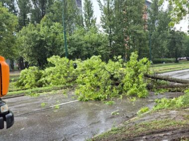 Sosnowiec-Sielec. Nawałnice, gradobicie złamane drzewo przy ulicy Gabriela Narutowicza. 14 lipca 2026 Sosnowiec-Sielec. Nawałnice, gradobicie złamane drzewo przy ulicy Gabriela Narutowicza. 14 lipca 2026