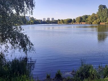 Mężczyzna wjechał autem do stawu "Łąka". Nie żyje Staw Laka Katowice