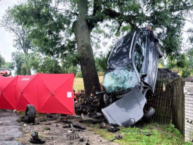Śmiertelny wypadek na DW789. Zginął kierowca Wypadek w Ślęzanach
