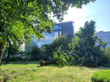 Burza nad Katowicami. Zniszczenia po nocnym kataklizmie Zniszczenia w Katowicach. Wiatr wyrwał drzewo z korzeniami