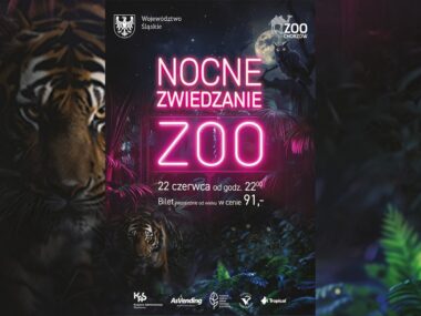 Wkrótce nocne zwiedzanie chorzowskiego zoo Chorzow zoo nocne zwiedzanie