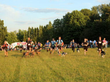 Ponad 300 osób z psami w nocnym Dogtrekkingu w Parku Śląskim Dogtrekking Park Śląski