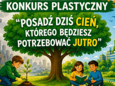 Drzewa konkurs kod Drzewa konkurs kod
