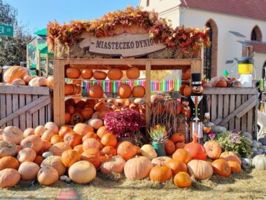 Nowa jesienna atrakcja w Gliwicach - Dyniowe Miasteczko Dyniowe miasteczko gliwice