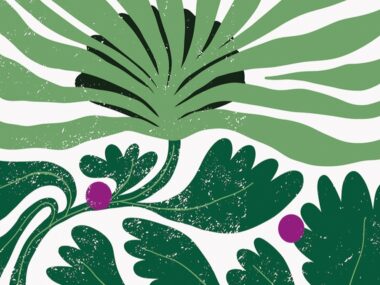 Kto mieszka w krzakach? Już 19 kwietnia "Dzień Krzewów" Dzien krzewow slaski ogorod botaniczny 1