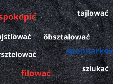 QUIZ maszketnych sōwek. Ten quiz pomatlo Wam w mózgach! Godka quiz