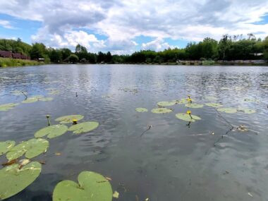 Kalety planują letnie kąpielisko i nową Zieloną Przestrzeń Kalety - Leśny Zakątek Śląska