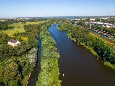 Zakaz korzystania z wód Kłodnicy. Znów złota alga Zakaz korzystania z wód Kłodnicy. Znów złota alga