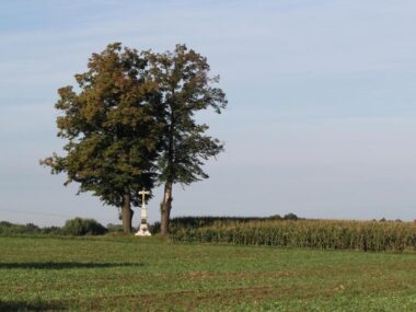 Sakralnym szlakiem po Czechowicach-Dziedzicach Kapliczka czechowice dziedzice