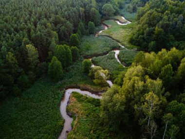 Nowy serwis www od IMGW. Sprawdzimy w nim stan naszych rzek Klodnica rzeka meandry ruda slaskajpg