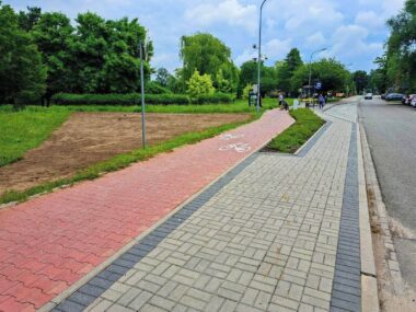 Knurów szykuje się na lato - łaki kwietne i strefa wodna Nowe łąki kwietne w Knurowie