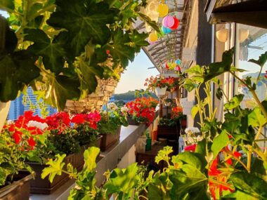 Wystartował konkurs na najpiękniejszy katowicki balkon Konkurs na ukwiecony balkon, Katowice