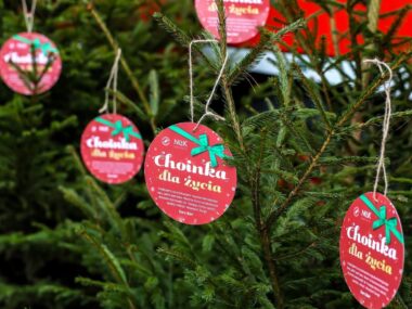 Katowice: „Choinka dla życia”! Oddaj krew i odbierz drzewko Akcja "Choinka dla życia" odbywa się także w Katowicach