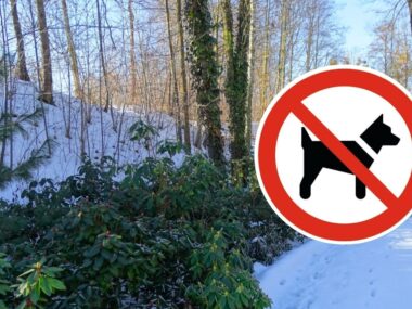 Śląski Ogród Botaniczny w Radzionkowie: psy nie wejdą No pies