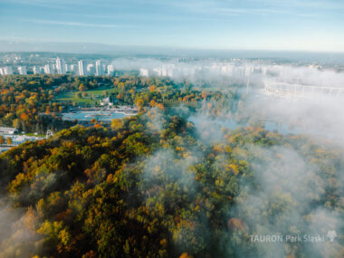 Czy Park Śląski zostanie obszarem chronionego krajobrazu? Park slaski jesien 9