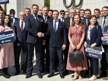 Partia Piecha z Konfederacją. "Front gaśnicowy" do PE? Pjj konfederacja