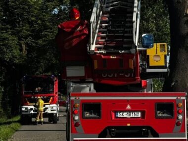 Ptakowice. Gałąź spadła na samochód z kierowcą w środku Ptakowice drzewo spadlo na samochod
