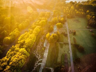Park Śląski: nowe nazwy alei, bulwarów i ronda? Rosarium park slaski 2