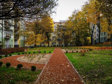 Kolejnych 100 drzew w Katowicach Skwer Katowice