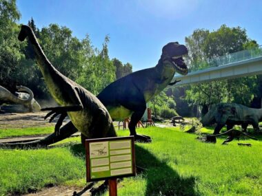 Nowa atrakcja w śląskim zoo. Kładka nad Kotliną Dinozaurów Nowa atrakcja w śląskim zoo. Kładka nad Kotliną Dinozaurów