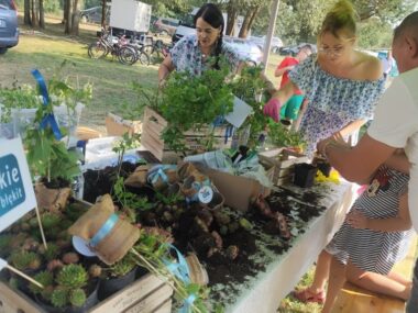 Święto Ryby i zabawa w Truszczycy, czyli weekend w Kaletach Swieto ryby ichtiopark kalety