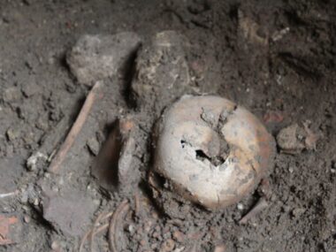 W kościele pw. św. Wojciecha archeolodzy odkryli groby dziecięce ze średniowiecza W kościele pw. św. Wojciecha archeolodzy odkryli groby dziecięce ze średniowiecza