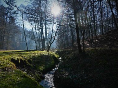 Tarnowskie gory park repecki dolina dramy Tarnowskie gory park repecki dolina dramy