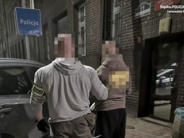 Siedmiu sprawców brało udział w napadzie na 19-latka Tarnowskie gory pobicie policja
